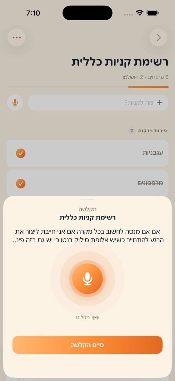מסך ההקלטה הקולית בהומלי